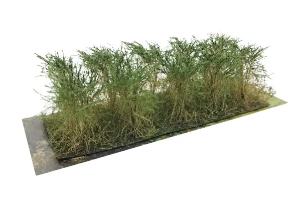 BUSHES_TYPE_B_FIR_GREEN