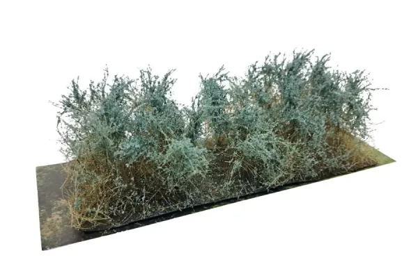 BUSHES_TYPE_C_EUCALYPTUS_GREEN