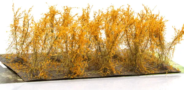 BUSHES_TYPE_C_ORANGE_FALL