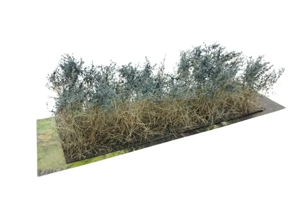 BUSHES_TYPE_C_SAGE_GREEN