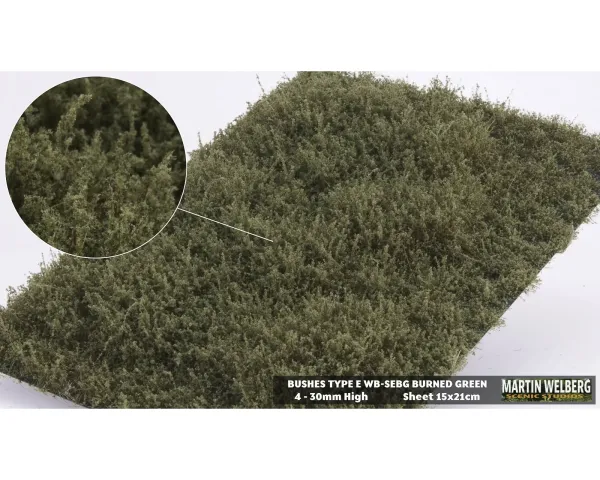 BUSHES_TYPE_E_BURNED_GREEN