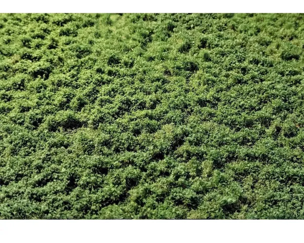 LAYERED_TUFTS_WEEDS_2_2MM_SUMMER