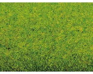 Noch_00260___GRASMAT_VOORJAARSWEIDE__120_X_60_CM