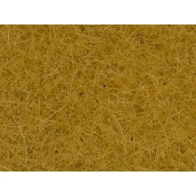 Noch_07096___WILDGRAS_XL_BEIGE_80_G