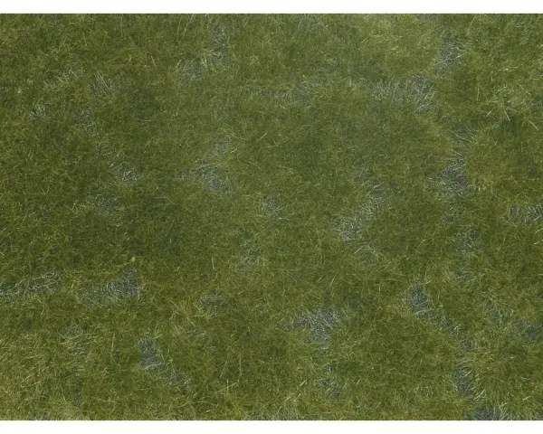 Noch_07252___BODEMBEDEKKER_FOLIAGE_DONKER_GROEN_12_X_18_CM