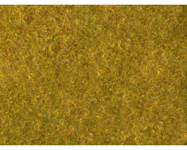 Noch_07290___WEIDE_FOLIAGE_GEEL_GROEN