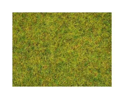 Noch_08151___GRAS_ZOMERWEIDE_2_5MM