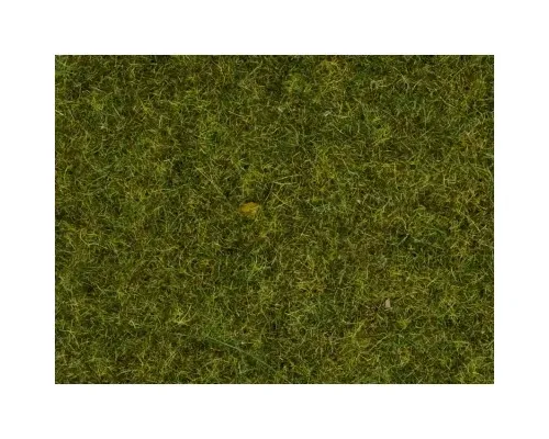 Noch_08152___GRAS_WEIDE_2_5_MM