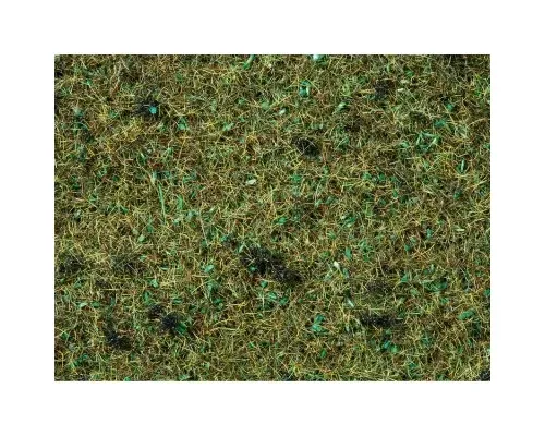 Noch_08157___GRAS_BOSBODEM_2_5_MM