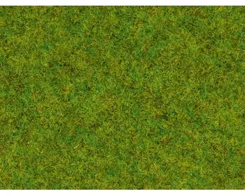 Noch_08300___GRAS_VOORJAARSWEIDE_2_5_MM