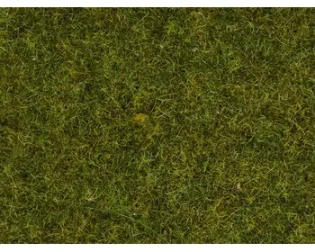 Noch_08312___GRAS_WEIDE_2_5_MM