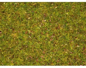 Noch_08330___GRAS_BLOEMENWEIDE_2_5_MM