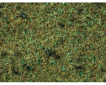 Noch_08350___GRAS_BOSBODEM_2_5_MM