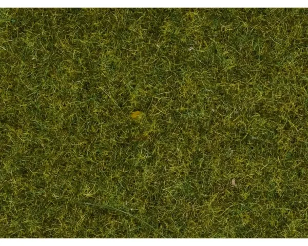 Noch_08361___GRAS__WIESE__4_MM