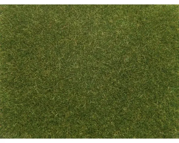 Noch_08364___GRAS_MIDDEN_GROEN_4_MM