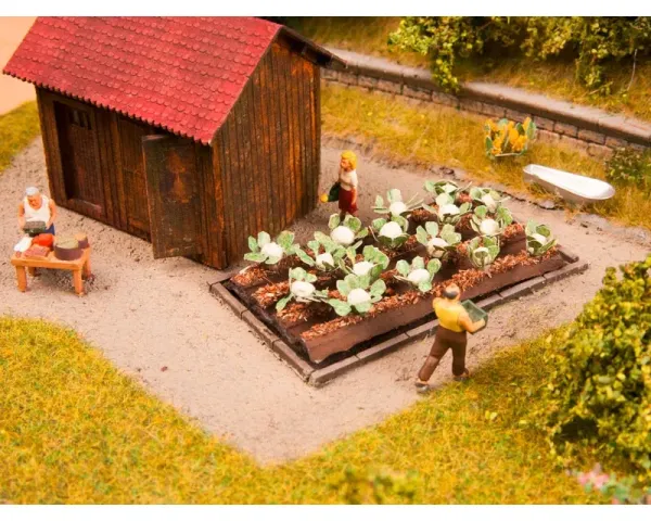 Noch_13216___BLOEMKOOL