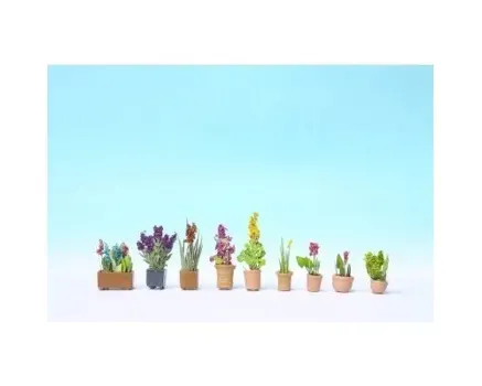 Noch_14012___SIERPLANTEN_IN_BLOEMPOTTEN