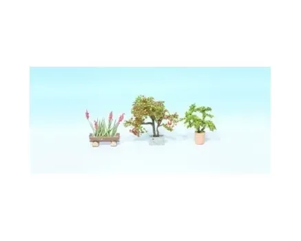 Noch_14020___SIERPLANTEN_IN_BLOEMPOTTEN