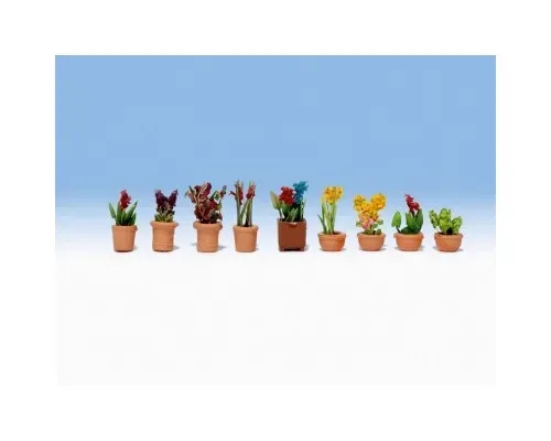 Noch_14080___SIERPLANTEN_IN_POTTEN