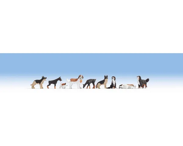 Noch_15717___HONDEN