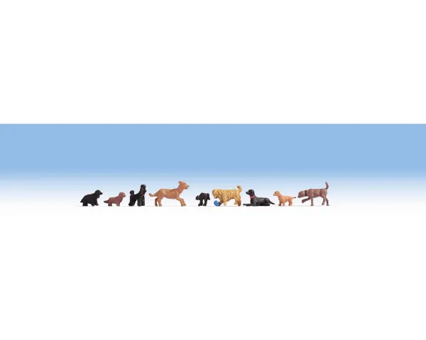 Noch_15719___HONDEN