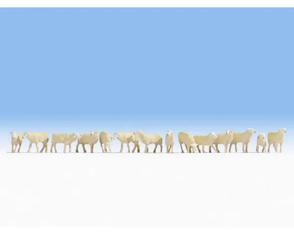 Noch_15749___SCHAPEN