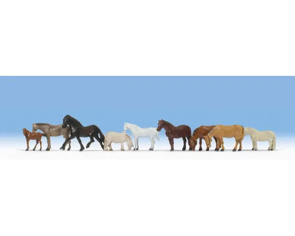 Noch_15761___PAARDEN