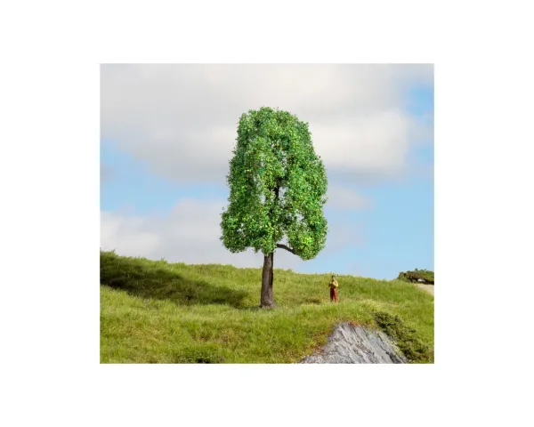 Noch_20101___ES