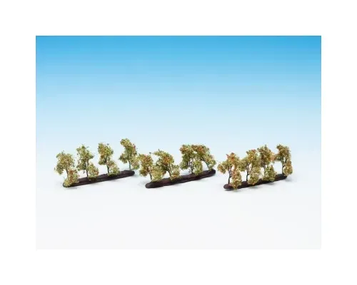 Noch_21537___PLANTAGEBOMEN_MET_APPELS__24_STUKS__2_CM_HOOG