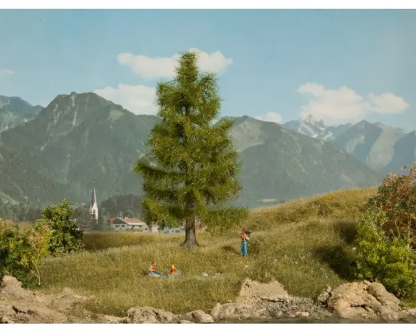 Noch_21816___DEN
