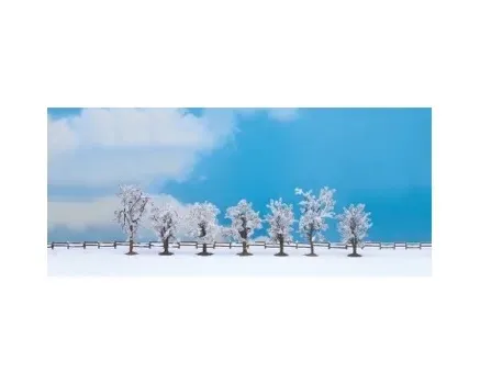 Noch_25075___7_WINTERBOMEN