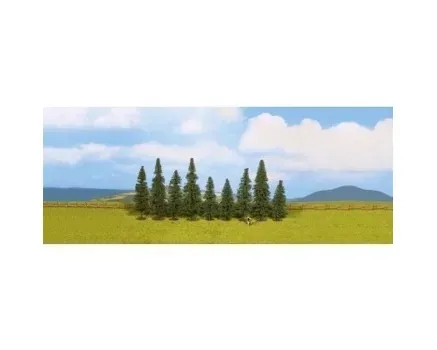 Noch_25086___9_DENNENBOMEN_80_120_MM