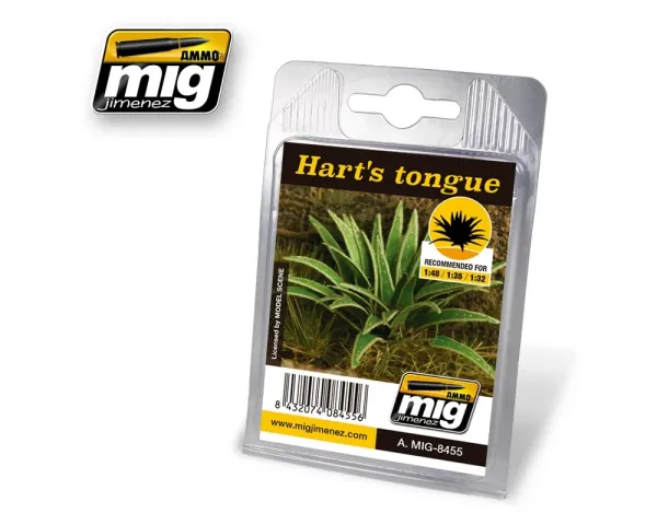 VEGETATION_HART_S_TONGUE