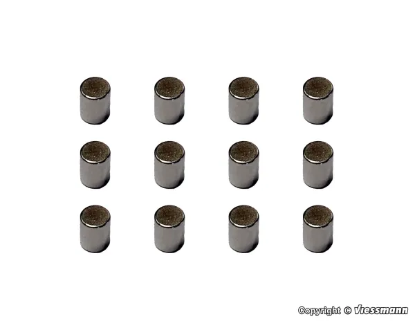 Viessmann_8431___MAGNEET__12_STUKS_