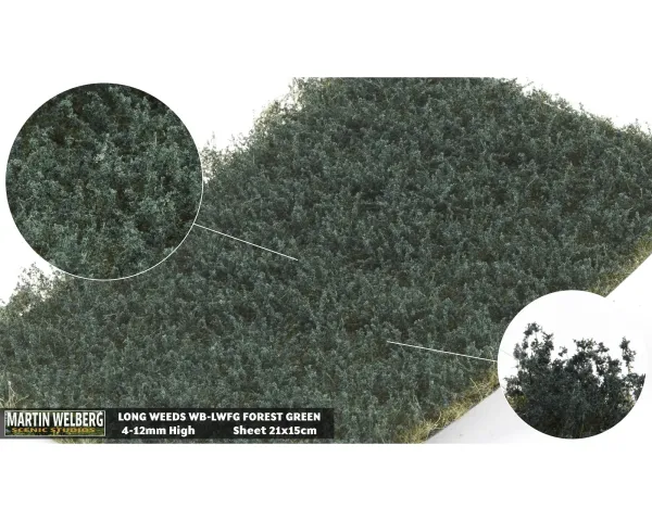 WEEDS_HIGH_FOREST_GREEN