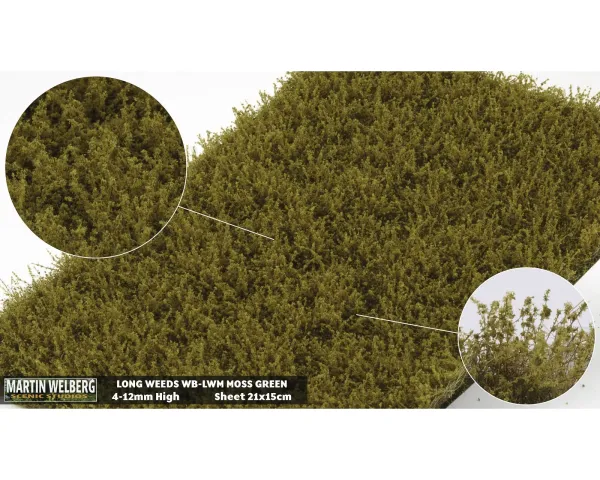 WEEDS_HIGH_MOSS_GREEN