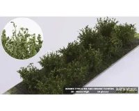 BUSHES_TYPE_A_ORANGE