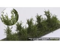 BUSHES_TYPE_B_MEDIUM_GREEN
