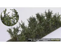 BUSHES_TYPE_C_LAVENDER