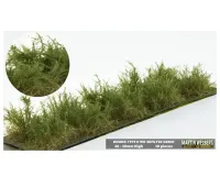 BUSHES_TYPE_D_FIR_GREEN