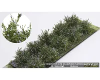 BUSHES_TYPE_D_LAVENDER
