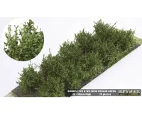 BUSHES_TYPE_D_MEDIUM_GREEN