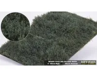 BUSHES_TYPE_E_SAGE_GREEN