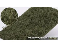 BUSHES_TYPE_F_BURNED_GREEN