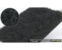 BUSHES_TYPE_F_CONIFER_GREEN