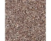 Busch_7064___STEENSLAG_MIDDELBRUIN_GROF_1