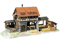 Faller_130229___ZAAGMOLEN_2