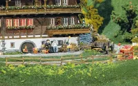 Faller_272407___WEIDE__EN_SCHAARHEKKEN__249_MM_272_MM