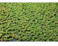 LAYERED_TUFTS_2_2MM_SPRING