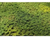 LAYERED_TUFTS_WEEDS_2_2MM_SPRING